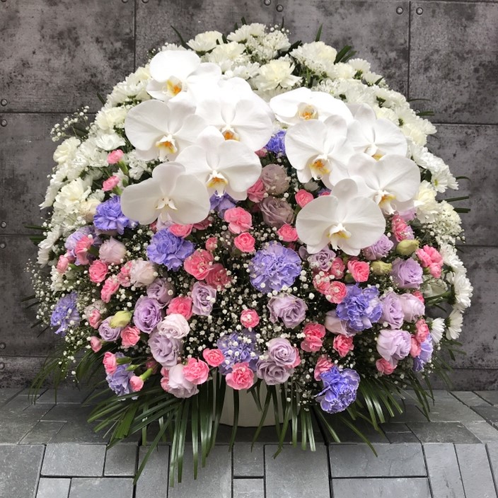 【御供】スフェアアレンジメントPP胡蝶蘭W_75_MS-OS