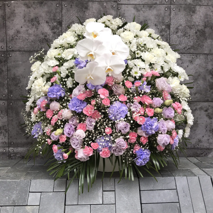 【御供】スフェアアレンジメントPP胡蝶蘭_75_MS-OS