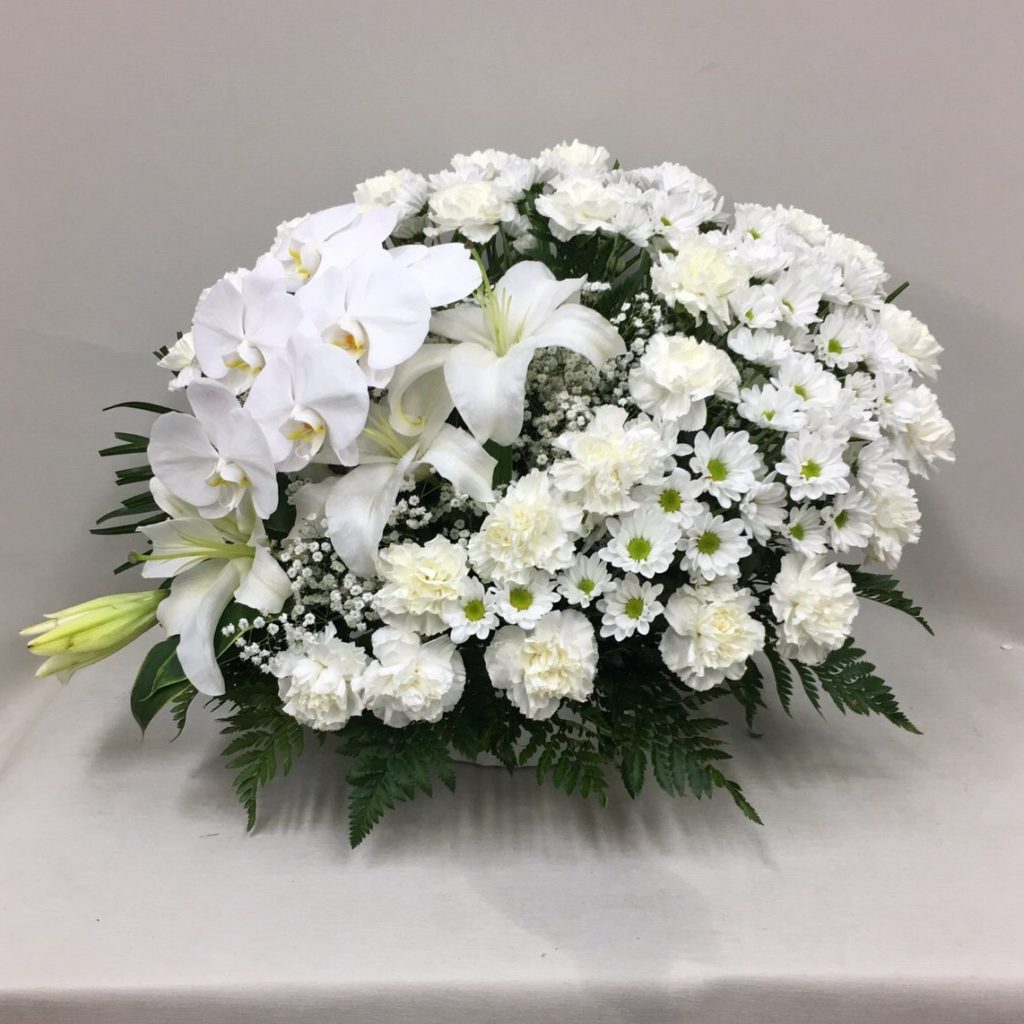 【御供】スフェアアレンジメントW胡蝶蘭_50_MS-OS