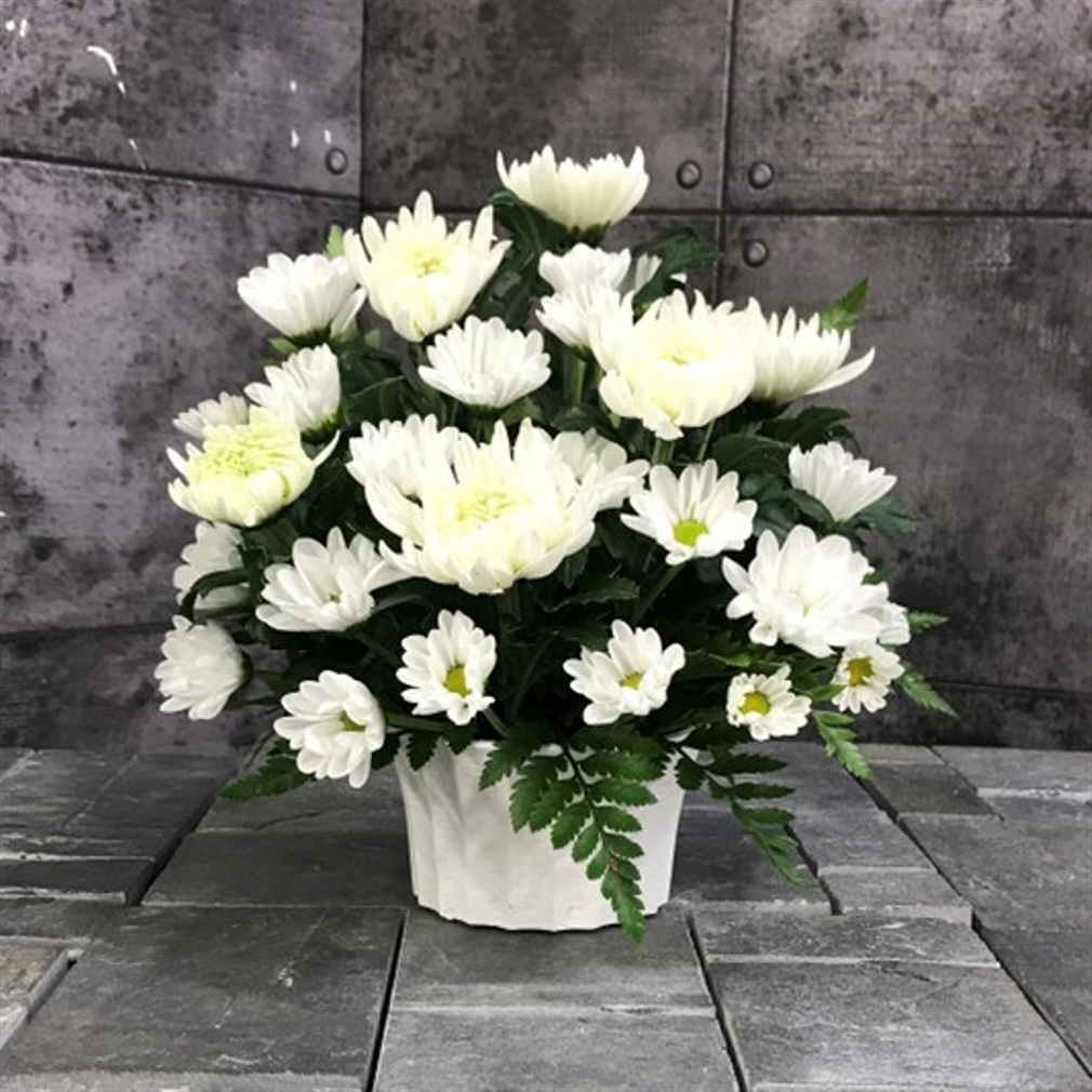 【御供】菊アレンジメントW_26_SP-OS