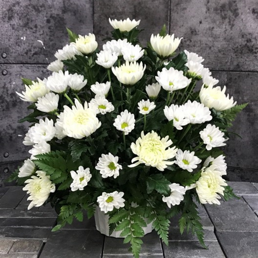 【御供】菊アレンジメントW_40_SP-OS